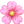 Fresh and Beautiful Flowers